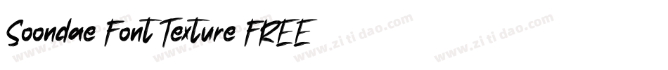 Soondae Font Texture FREE字体转换